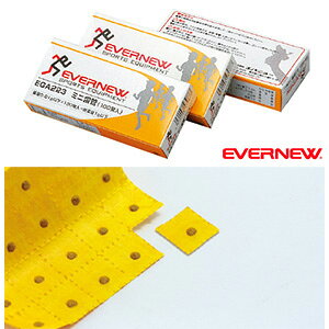 ~jǁi100jEGA223 Goj[(EVERNEW)  ̈ ㋣Z ^ sXg