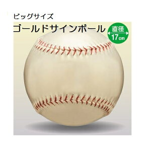 S[h TC{[ 싅 rbOTCY 17cm BB78-27(UNIX) LO{[ j LOi 񂹏