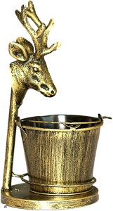 DM AeB[N   oPc  [ e g   ֌