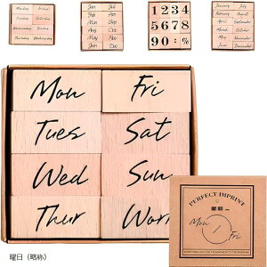 X^v ؐX^v 킢  j  傫  Zbg  tXy tXy  j   itXyj