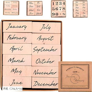 X^v ؐX^v 킢  j  傫  Zbg  tXy tXy  j   itXyj