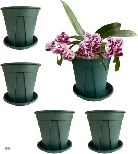 Xbg  Aؔ vX`bN  \h M t ϗt A  5 Zbg 4