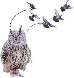 悯ObY x_ ͂Ƃ悯ObY ͂Ƃɂ[ ̌ޖ@ ɂ[ 悯ObY