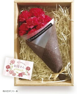 ��̓� �M�t�g �J�[�l�[�V���� �ԑ� �t�����[�M�t�g �t�K���Z�J���g �\�[�v�t�����[ ���b�Z�[�W�J�[�h�t�� ��̓��M�t�g ��