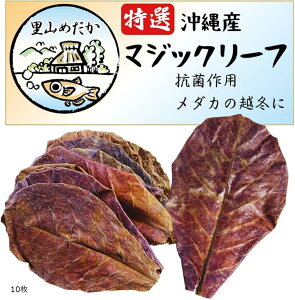 }WbN[t ^}i Y P x^[t _J t  CAEg ubNEH[^[ ߂̃xbh 5