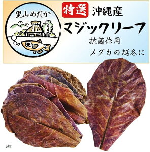 }WbN[t ^}i Y P x^[t _J t  CAEg ubNEH[^[ ߂̃xbh 5