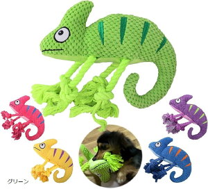 yyVLO1ʓ܁z  JI  ނ ɂ ʂ  ^ XgX ^`^ v[g Mtg Dog Toy +1 sN