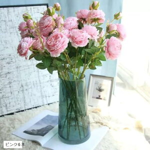  o 6{Zbg KN [Y ԑ CeA   u[P VNt[ v[g a  sN6{ zCg6{ bh6{