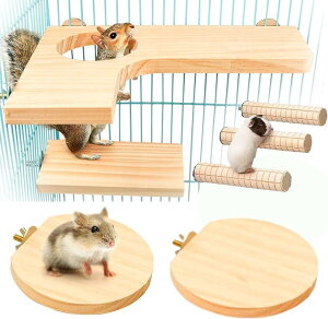 HOTQ nX^[ Xe[W[ Xebv ؐ ݑ  `` P[W t 7_Zbg