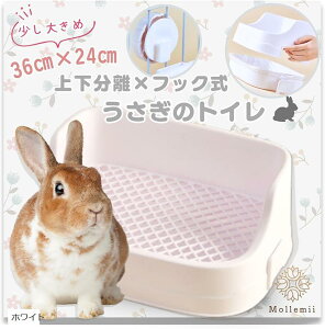  gC 36x24 ㉺ P[WŒ tbNO ܂ŃbV sN zCg lCr[ O[