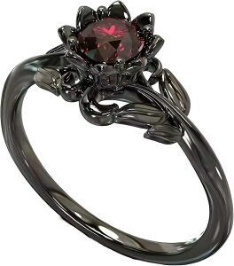 KNO w  bh[Y SX ʎY^ nn 킢