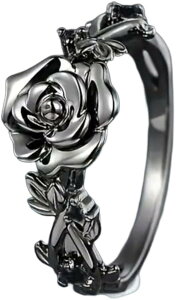 KNO w  ubN[Y SX ʎY^ nn 킢