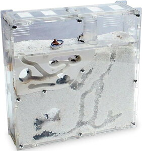 Ȃ Zbg Ȃώ@Lbg AP[X ALbg