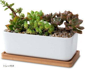 プランター セラミック おしゃれ 植木鉢 多肉植物 寄せ植え サボテン 陶器 長方形 トレー付き