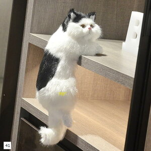 IuWF CeA CeAG  u   L 41 40 39