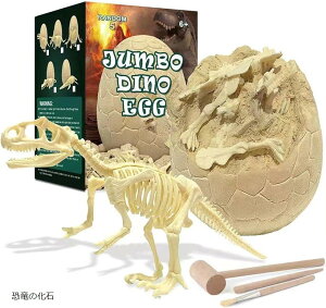 WCAg ̗ @Lbg eBmTEX  tBMAt mߋ W{ 12Zbg ̉