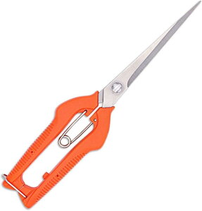 HOTQ n͂  oT~ ƒp΂ ~͙ K[fc[ |p͂ ؎nɓKp