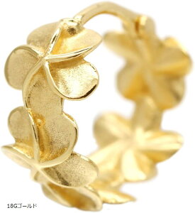 nCAWG[ vA T[WJXeX AM[Ή 1 p փbNX  {fBsAX t[vsAX fB[X18GS[h 18GVo[ 18GsNS[