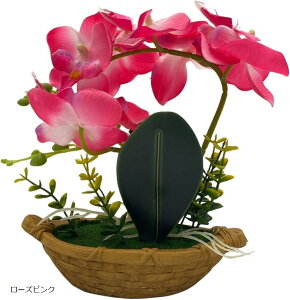 Ӓ  lHϗtA CeA u IuWF  tFCN v[g J^ K^   d  ͂Ȃ zCg [YsN p[v CgO[