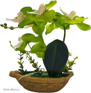 Ӓ  lHϗtA CeA u IuWF  tFCN v[g J^ K^   d  ͂Ȃ zCg [YsN p[v CgO[