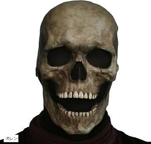 vX }XN [ beNX nEB z[ }XN  O[ zCg IW