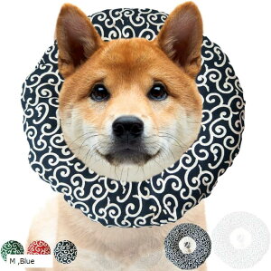 yyVLO1ʓ܁z͗l GUxXJ[ GJ lbNJ[  Red Blue L M Green