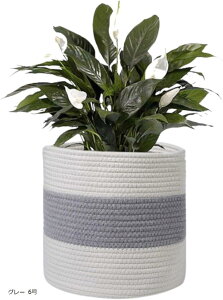 �v�����^�[�J�o�[ �A�ؔ� ������� ���� ���O �o�X�P�b�g ���J�S �ϗt�A�� �k�� �C���e���A ��߂����J�S �������� �z���C�g S �x�[�W�� 6�� �O���[ 8�� �x�[�W�� 8�� �O���[ 10�� �z���C�g 