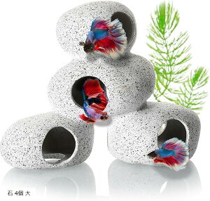 yyVLO1ʓ܁zANAE   IuWF  B I[ig u _J Mы  2  3   4   2 