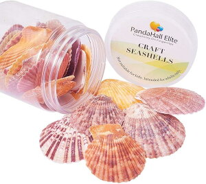 PandaHall Elite 約25個入り 天然素材 ミックス ビーチ シェル 貝殻 マリン雑貨 ネックレス DIY ハンドメイド 手芸 パーツ レジン
