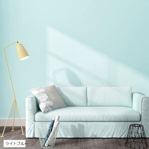 n ǎV[ h CNV[g 60cmS10m ̂t  DIY ǎ JbeBOV[g IW