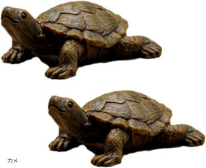 u  N  CeA tBMA G  2Zbg JG