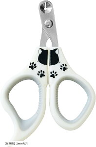 ܐ؂ Lp ߂ 2mmی uLpv2mmی