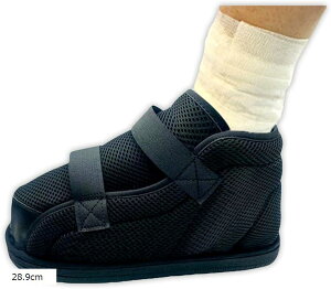 MvXV[Y pV[Y  PKp C Ep Б1 ߉\ ܐL nr V[Y 25.0cm 26.0cm 21.0cm 28.9cm 24.0cm