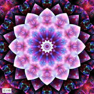  5D _Ch hJ r[Y G  Lbg _I ̐_ ΂̎vf ǧ F̃t@^W[