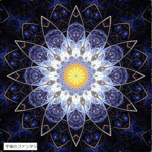  5D _Ch hJ r[Y G  Lbg _I ̐_ ΂̎vf ǧ F̃t@^W[