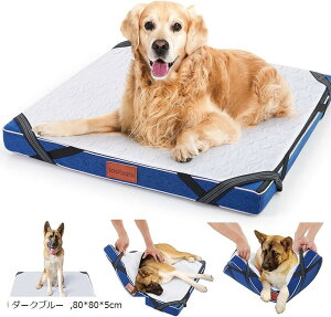  xbh \hxbh h  ې q V pObY ̎アybgɍœK 60x60x5cm 80x80x5cm _[Nu[ 60x60x5cm