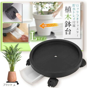 LX^[t Aؔ  t[X^h O[ zCg M L ubN S