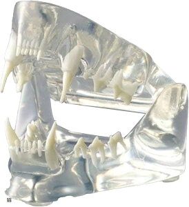 yyVLO1ʓ܁zvdl ̖͌^  ybg oPA K a@ b  g}[ bw p wp L