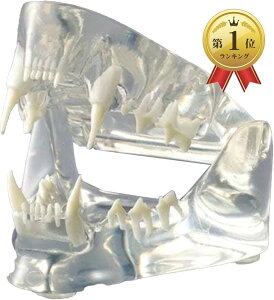 yyVLO1ʓ܁zvdl ̖͌^  ybg oPA K a@ b  g}[ bw p wp L