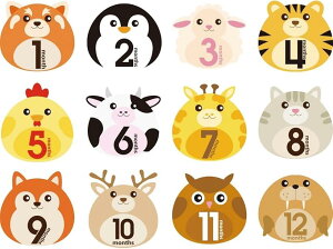 }X[J[h tHg J[h xr[}X[J[h 玙L }X[XebJ[ LOtHgV[ 12