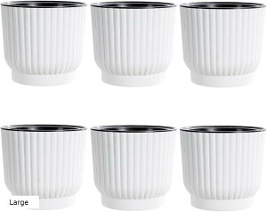 v^[  z [vt 2d\ Aؔ Ԕ vX`bN 6Zbg S Medium Large Small