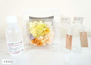 n[oE쐬Lbg  ԍ IC r t Mtg 蕨 CG[ sN O[ u[ p[v i` bh