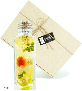 n[oE JUN ̓ 蕨 a LO v[g  j hV Mtg ϔȂ ϔ p[v ϔ bh CG[iϔj