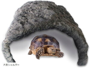 ঒ NK VF^[ ^ T bNVF^[  T J B  Ɖxv ^VF^[