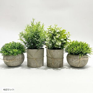 tFCNO[ lHϗtA CeA ͂Ȃ  A  sv 4_Zbg