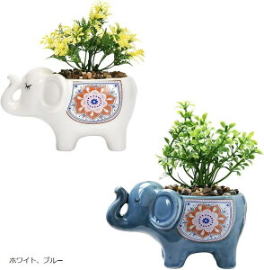 Aؔ  T{e A v^[  Jo[ ϗtA ^Ap  u bhACgu[ u[ACgu[ bhAzCg zCgAu[