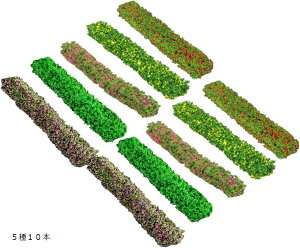 ジオラマ生垣 10本 模型 鉄道模型 ミニチュア 情景 リアル 風景 建築模型 5種10本