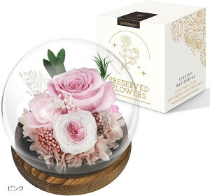 NX}Xc[  vU[uht[ ͂Ȃ KXh[ dr LEDCg  킢 ͋CX Mtg bh sN u[ NX}XO[ł