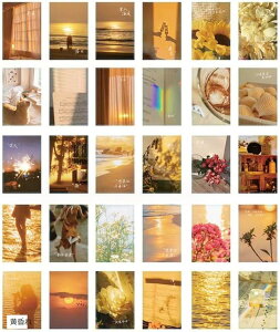 yyVLO1ʓ܁zŉ |XgJ[h 30Zbg ͂TCY k ؍ CO CeA G ~j|X^[ ̂₫ Sn ̂X  ̔