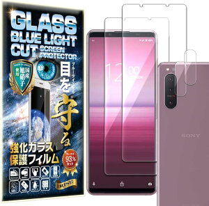 ブルーライトカット 93%2枚+2枚 RISE ガラスフィルム カメラ レンズ Xperia5 II SO-52A 用 保護フィルム
